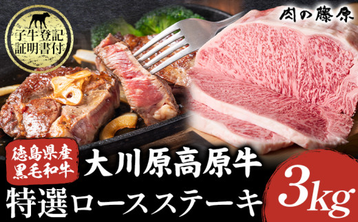 大川原高原牛 特選ロース 3kg  《30日以内に出荷予定(土日祝除く)》[和牛 希少 佐那河内 さなごうち 大川原高原 牛肉 鍋  特選 ロース 贅沢  ステーキ 焼肉 しゃぶしゃぶ すき焼き 牛丼 炒