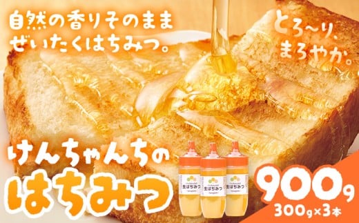 けんちゃんちのはちみつ 300g 3本セット《30日以内に出荷予定(土日祝除く)》ふるさと納税 はちみつ ハチミツ 蜂蜜 国産蜂蜜 天然蜜蜂 徳島県 佐那河内村 徳島県佐那河内村14500鍋セット・