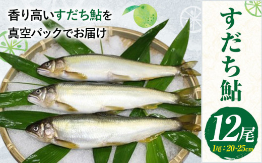 すだち鮎 12尾 冷凍 有限会社岩崎商店 《30日以内に出荷予定(土日祝除く)》│1尾あたり20〜25cm 徳島県産 あゆ アユ 魚 魚介 川魚 塩焼き 甘露煮 徳島県 佐那河内村徳島県佐那河内村16000魚介・