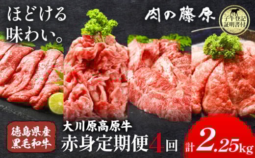 《定期便》全4回お届け!大川原高原牛 赤身(スライス・切り落とし・焼肉・しゃぶしゃぶ 各500gずつ) 株式会社肉の藤原 《お申込み月の翌月から出荷開始》牛肉 定期便 月1回 徳島県 佐那河