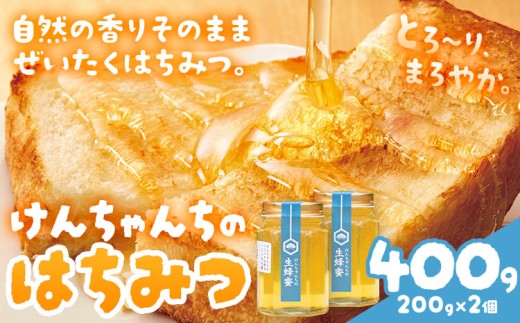 けんちゃんちのはちみつ 200g 2個セット《30日以内に出荷予定(土日祝除く)》ふるさと納税 はちみつ ハチミツ 蜂蜜 国産蜂蜜 天然蜜蜂 徳島県 佐那河内村 徳島県佐那河内村10000鍋セット・