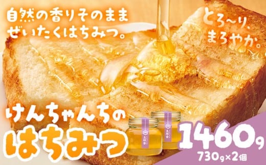 けんちゃんちのはちみつ 730g 2個セット《30日以内に出荷予定(土日祝除く)》ふるさと納税 はちみつ ハチミツ 蜂蜜 国産蜂蜜 天然蜜蜂 徳島県 佐那河内村 徳島県佐那河内村23500鍋セット・