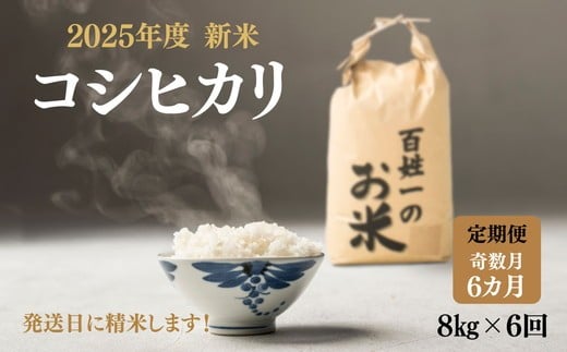 128-1002 【6回定期便・奇数月】石井町産コシヒカリ8kg×6カ月(奇数月)  ※離島への配送不可徳島県石井町128000米・パン白米