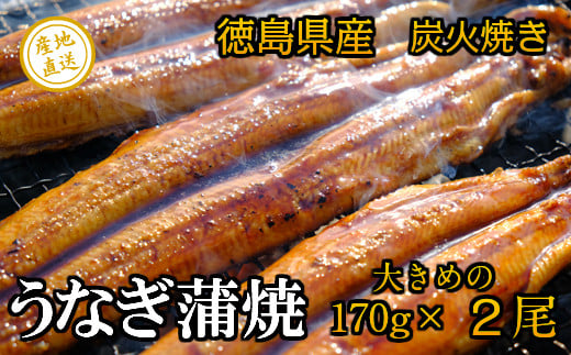徳島県産 うなぎ蒲焼 こだわりの炭火焼 大きめ2尾徳島県美波町25000魚介・海産物貝類
