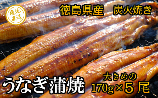Y Ȃ ̒YΏ 傫߂Tg60000ECYL