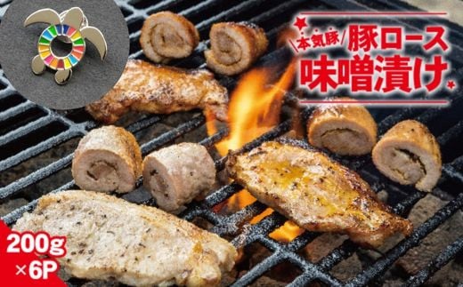 【SDGsカメバッチ】と【本気豚ロース味噌漬け】徳島県美波町26000肉豚肉