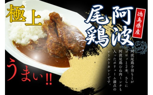 阿波尾鶏骨付地鶏カレー 10食徳島県美波町42000肉鶏肉