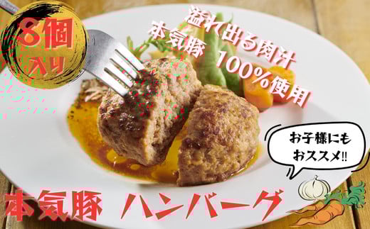 本気豚使用 ハンバーグ8個入徳島県美波町15000肉その他 肉