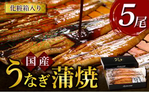 うなぎ蒲焼 5尾入徳島県松茂町45000魚介・海産物うなぎ