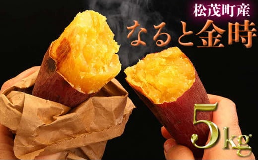 さつまいも(なると金時)松茂町産5kg徳島県松茂町14000野菜・きのこじゃがいも・イモ類