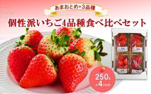 u܂Ƃ߁v+3i@h4iHה׃Zbg@250g×4pbN@wƂ܈QiSESj_YxDGF擾Β17000ʕEt[c