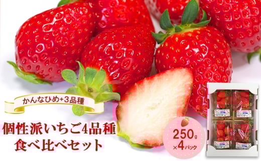 uȂЂ߁v+3i@h4iHה׃Zbg@250g×4pbN@wƂ܈QiSESj_YxDGF擾Β17000ʕEt[c