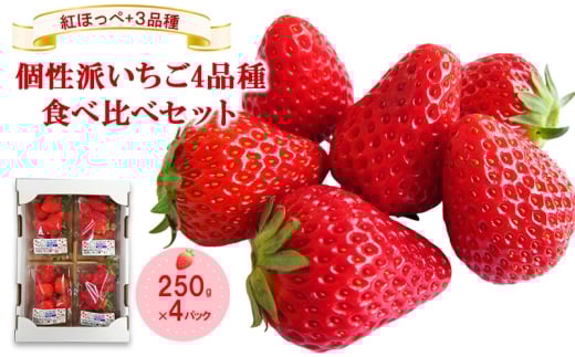 「紅ほっぺ」+3品種 個性派いちご4品種食べ比べセット 250g×4パック 『とくしま安2(安全・安心)農産物』優秀認定取得徳島県松茂町17000果物・フルーツいちご
