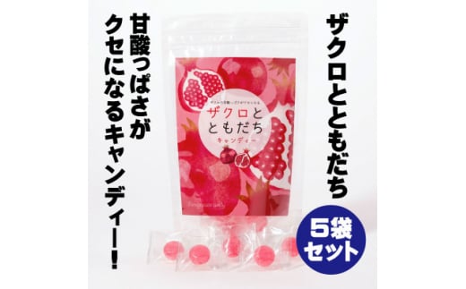 ザクロとともだち/5袋セット【1505389】徳島県藍住町7000菓子・スイーツその他 和菓子