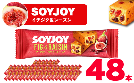 SOYJOY ソイジョイ イチジク&レーズン 48本【1490427】徳島県板野町23000菓子・スイーツその他 和菓子