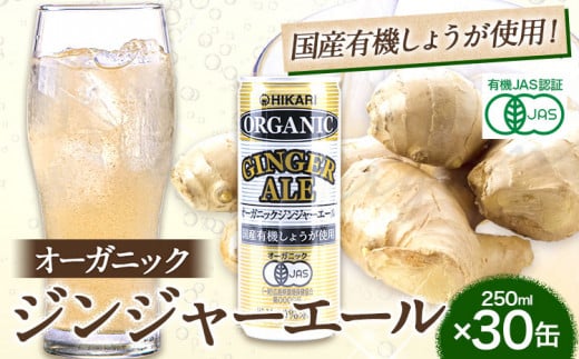 WW[G[ 250ml×30 HiЁs30ȓoח\(yj)t  W[X Y_ Hi WW[G[ I[KjbN L@ st-p13000E