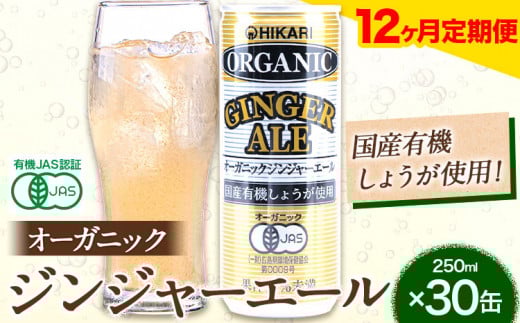 【12ヶ月定期便】 ジンジャーエール 250ml×30缶 光食品株式会社 定期 計12回お届け 《お申込み月の翌月から出荷開始》 徳島県 上板町 ジュース 炭酸水 光食品 ジンジャーエール オーガニック