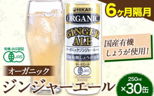 y6uցz WW[G[ 250ml×30 Hi  u v6񂨓͂ s\݌̗o׊Jnt   W[X Y_ Hi WW[G[ I[