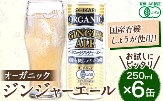  I[KjbN WW[G[ 250ml 6ʁs30cƓȓɏoח\(yj)t    W[X Y_  WW[ I L@JASF  YL@Igp 