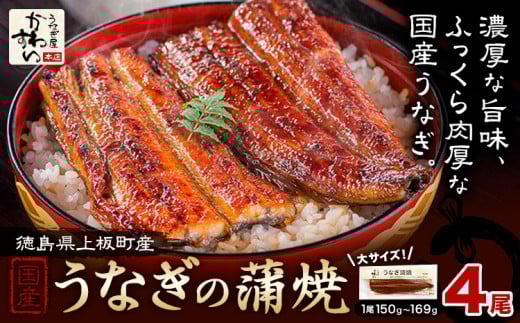 Ȃ킷 YȂ̊ v4 (1150g-169g) YЁs30ȓɏoח\(yj)t  V Ȃ EiM V̊Ă  Ă Y28000