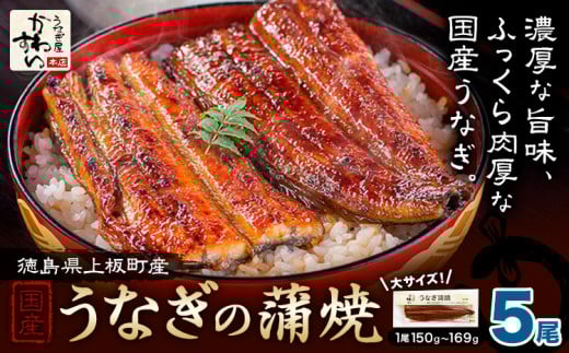 Ȃ킷 YȂ̊ v5 (1150g-169g) YЁs30ȓɏoח\(yj)t  V Ȃ EiM V̊Ă  Ă Y35000
