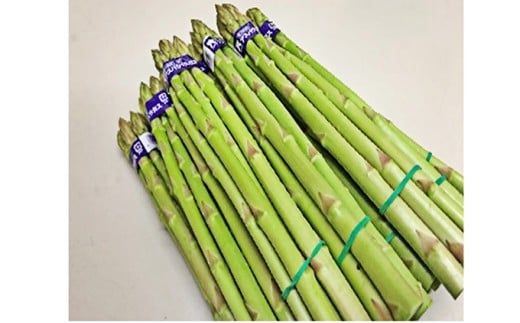 [5911-0115]쌧IWiAXpKXuʂ̂߂߁vt@1.5kg ؍쌧쒬15000؁Ê̑ 