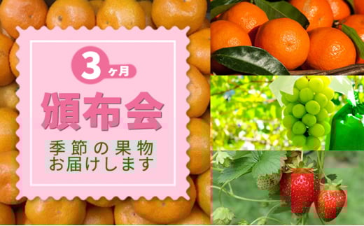 [5911-0184]Y t[c  iN3j ʕ k ݂   C`S Ԃǂ }XJbg쌧쒬37000ʕEt[c݂Ek