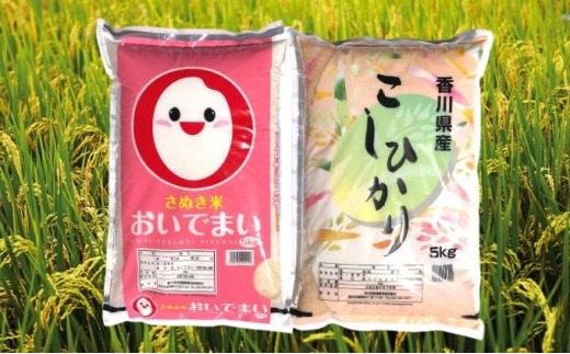 [5911-0287]쌧쒬YRVqJEł܂Hה׃Zbg쌧쒬25000āEp