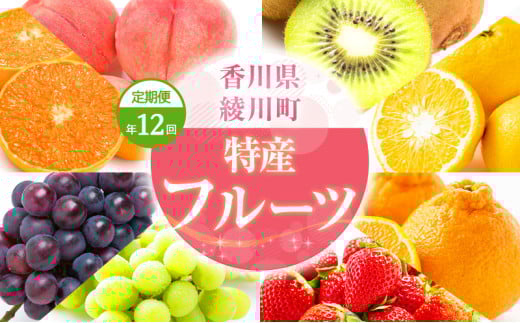 [5911-0301]Y@t[c@ցiN12j쌧쒬127000ʕEt[c̑ ʕEt[c