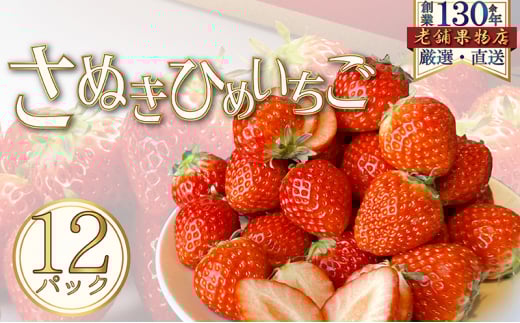 [5911-0349]ʂP@12pbN(1pbN/250g)쌧쒬26000ʕEt[c