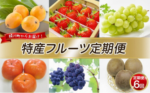 [5911-0373]Y t[c ցiN6j  т sI[l VC}XJbg ` LEC Ԃǂ  6 G {쌧쒬85000ʕEt[c