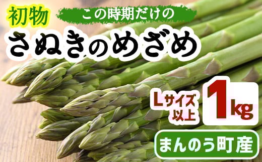 <先行予約!2026年2月中旬以降順次発送予定>初物!アスパラガス さぬきのめざめ (約1kg/Lサイズ以上) 【man091】【Aglio nero】香川県まんのう町13000野菜・きのこその他 野菜