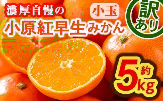 <先行予約!2025年11月下旬以降順次発送予定><訳あり・家庭用><選べるサイズ>香川県産 小原紅早生みかん (約5kg・小玉)  【man088・man089】【Aglio nero】香川県まんのう町9000果物・フルー