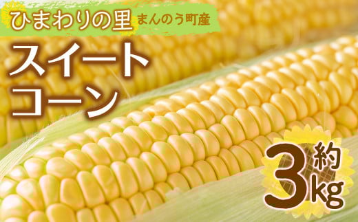<先行予約!2026年6月上旬以降順次発送予定>イエローコーン(約3kg)  【man113】【Aglio nero】香川県まんのう町10000野菜・きのことうもろこし