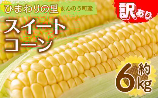 <先行予約!2026年6月上旬以降順次発送予定><訳あり・家庭用>イエローコーン(約6kg) 【man114・man115】【Aglio nero】香川県まんのう町13000野菜・きのことうもろこし