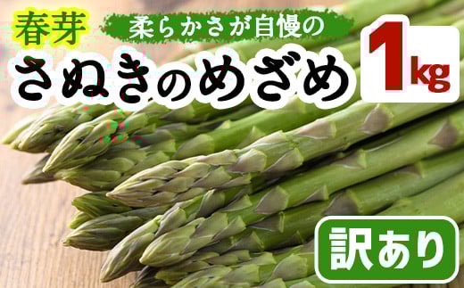 <先行予約!2026年2月下旬以降順次発送予定><訳あり・家庭用>春芽!アスパラガス「さぬきのめざめ」(約1kg) アスパラガス アスパラ ブランド 香川 野菜 農作物 産地直送  【man118】【Aglio