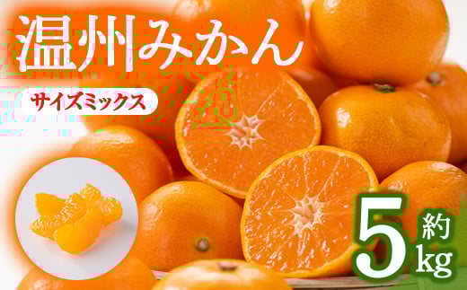 <期間限定!2025年10月上旬以降順次発送予定><選べるサイズ>香川県産 温州みかん(約5kg/サイズミックス) 【man078・man119】【Aglio nero】香川県まんのう町7000果物・フルーツみかん・柑橘類