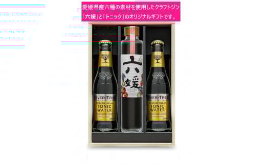 水口酒造 道後ジン「六媛」・トニックセット(G6-200)愛媛県久万高原町13000酒・アルコールその他 酒・アルコール