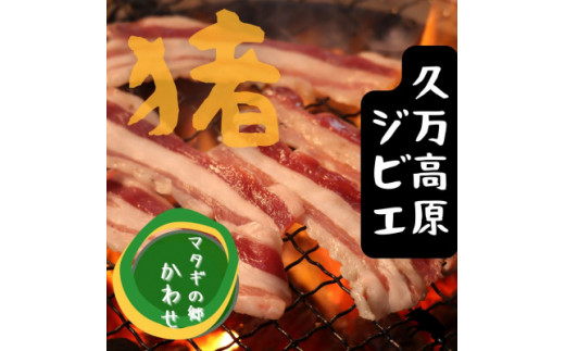 ジビエ「イノシシ肉 部位別食べ比べセット(800g)」|BBQ アウトドア キャンプ ヘルシー 猪肉 モモ カタ ばら ロース バーベキュー 愛媛 久万高原町 ※離島への配送不可愛媛県久万高原町26000肉