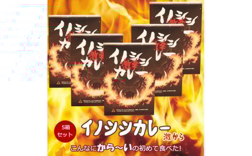 WrG H J[uhCmVVJ[200g×5Zbgvb1,000g 1kg  ۑH H gg nJ[ Q vQv20000ZbgE؁EHHi