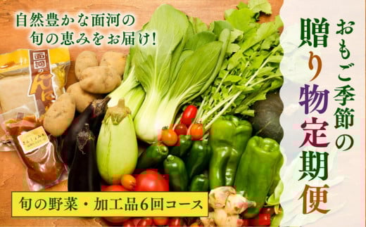 【定期便】【自然豊かな面河の旬の恵みをお届け!】おもご季節の贈り物定期便(野菜・加工品6回コース) ※着日指定不可愛媛県久万高原町67000野菜・きのこその他 野菜