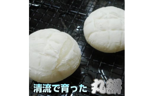 丸餅約2kg(48個)1個約40g〜45g【無添加】【つき餅】お祝い お供え 自宅用 ※着日指定不可 ※離島への配送不可愛媛県久万高原町14000米・パン玄米・雑穀米・もち米・餅