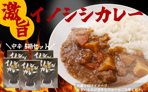 激旨イノシシカレー 5箱セット愛媛県久万高原町17000鍋セット・総菜・加工食品総菜