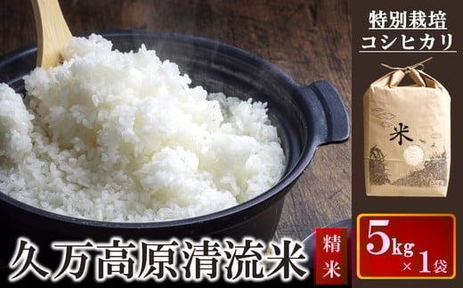コシヒカリ5kg×1袋(精米) | 久万高原清流米 特別栽培 ※2024年9月中旬頃より順次発送予定 ※離島への配送不可愛媛県久万高原町13000米・パン白米