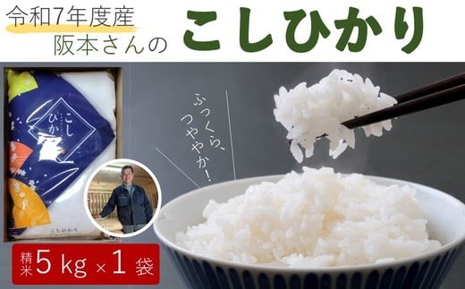 コシヒカリ 精米5kg 令和7年産 | 久万高原町 米 新米 お米 こめ コメ 愛媛 ※2025年9月下旬頃より順次発送予定 ※離島への配送不可愛媛県久万高原町17000米・パン白米