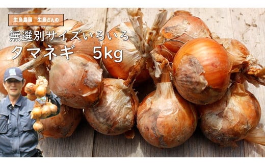 【先行予約】タマネギ 生島農園 いくしまさんのたまねぎ(5kg)サイズ無選別(たまねぎ、玉葱) | 煮込み料理 常備菜 多用途 ※離島への配送不可 ※2026年6月上旬頃〜10月下旬頃までに順次