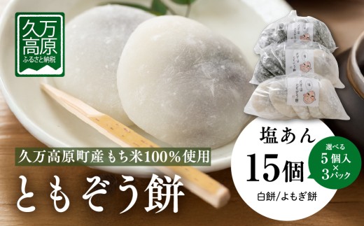 【白餅15個】ともぞう餅【塩あん15個】5個入3パック 白餅 よもぎ餅 選べるセット|愛媛県 久万高原町 手作り 餅 もち 塩あん よもぎ スイーツ 和菓子 正月 雑煮 ぜんざい きな粉餅 甘くない