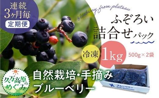 【3ヶ月定期便】農園直送 不揃い手摘み 冷凍 ブルーベリー 500g×2袋 計1kg 使い方いろいろ | 愛媛県 久万高原町 廣瀬農園 自然派 高原栽培 国産 フルーツ おやつ 製菓用 スムージー ヨーグル