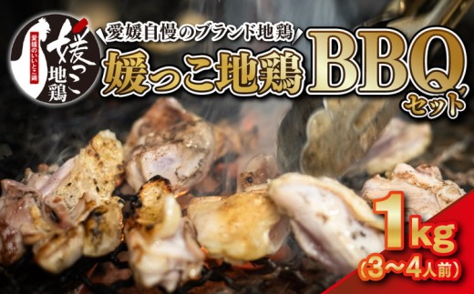 媛っこ地鶏 BBQセット 1kg(3〜4人前)| モモ ムネ 手羽先 愛媛県 久万高原町 久万山養鶏研究所 地鶏 鶏肉 肉 食感 旨み アウトドア キャンプ 炭火焼 ジューシー お取り寄せ グルメ 国産 冷蔵