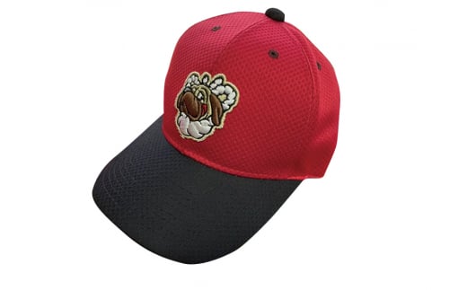 yC06013zmt@CeBOhbOXIWiObYBm20000ߗށEiEH|ȋ iEH|i